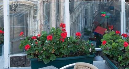 Galata Life Istanbul