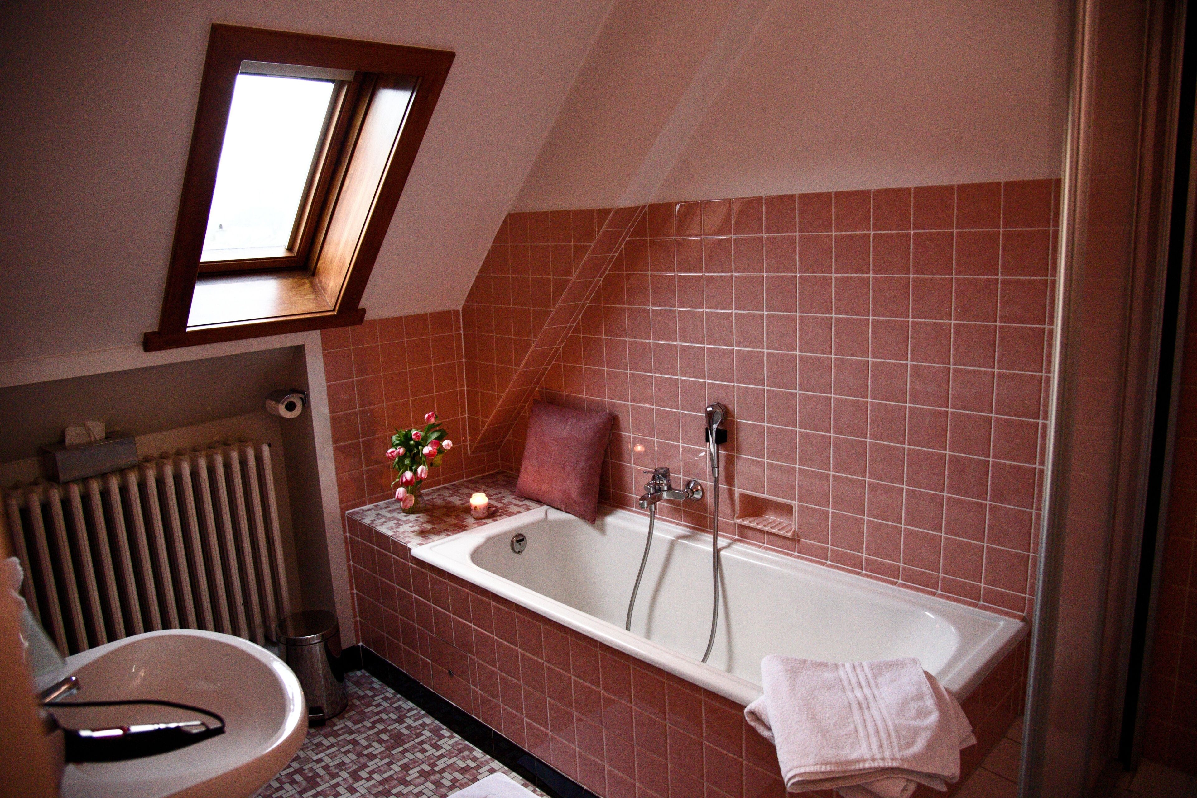 small double room | bathroom | shower, hair dryer, towels