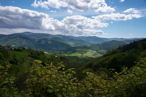 山景