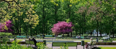 Área da propriedade