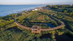 A circular wooden boardwalk with a viewing platform, surrounded by dense vegetation and a body of water. - Koidulapark Hotell (Parnu)
