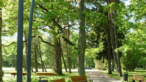 A park with paved pathways, benches, and large flower planters. - Koidulapark Hotell (Parnu)