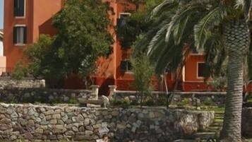 Relax by the pool surrounded by lush palm trees and a beautiful building with multiple windows.