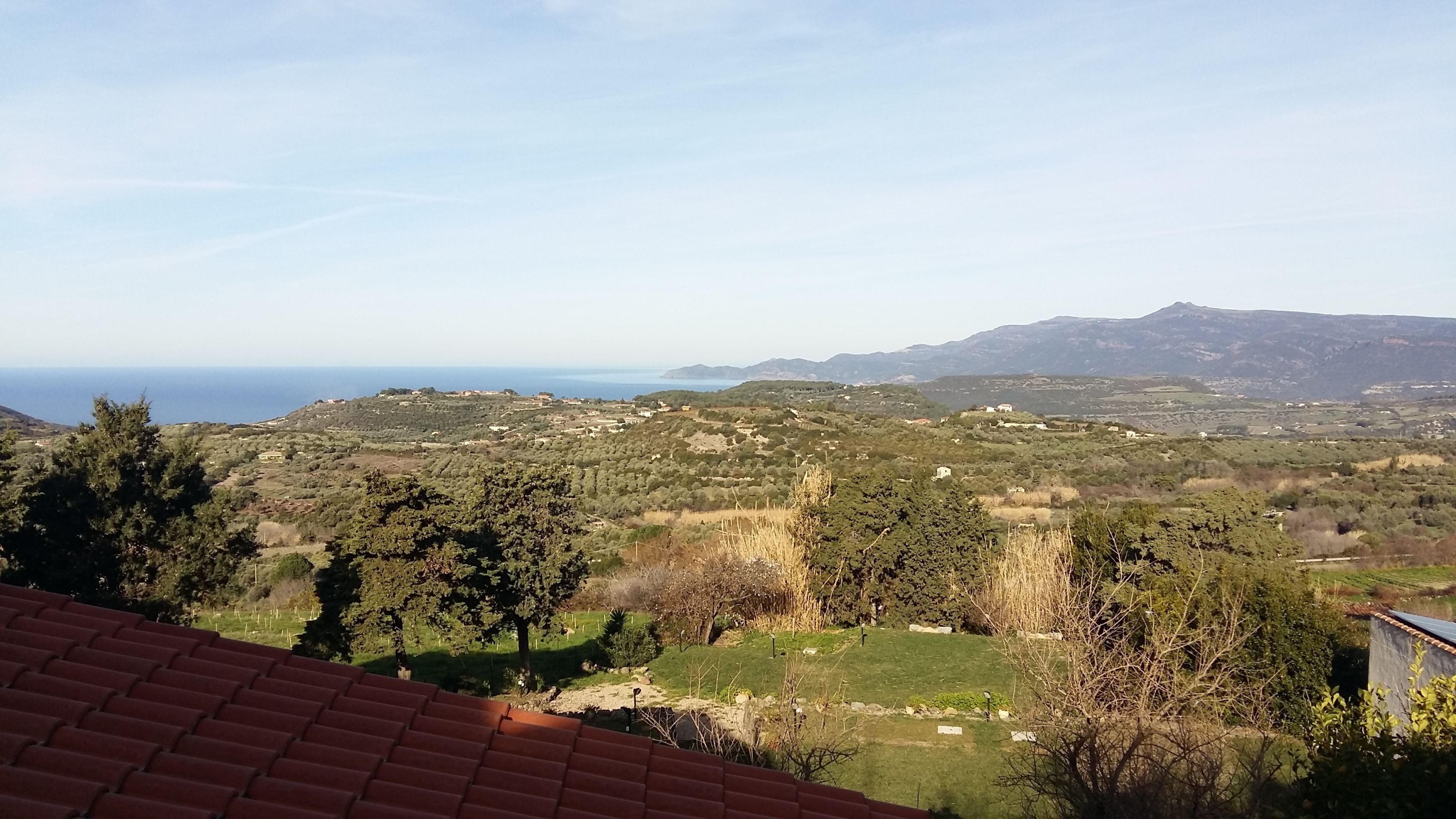 suite, garden view | view from property