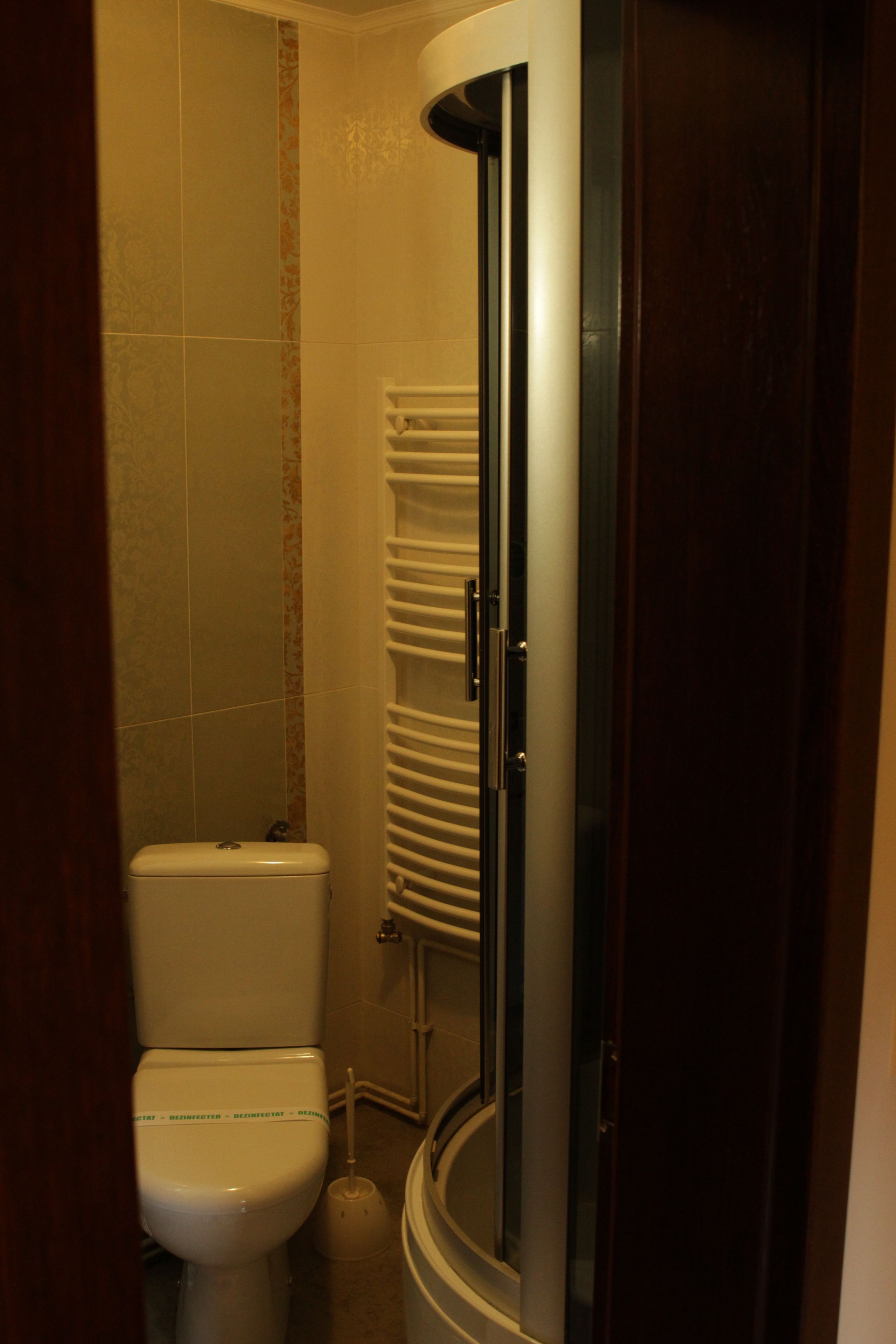 A bathroom with a toilet, a glass-enclosed shower, and a towel rack.