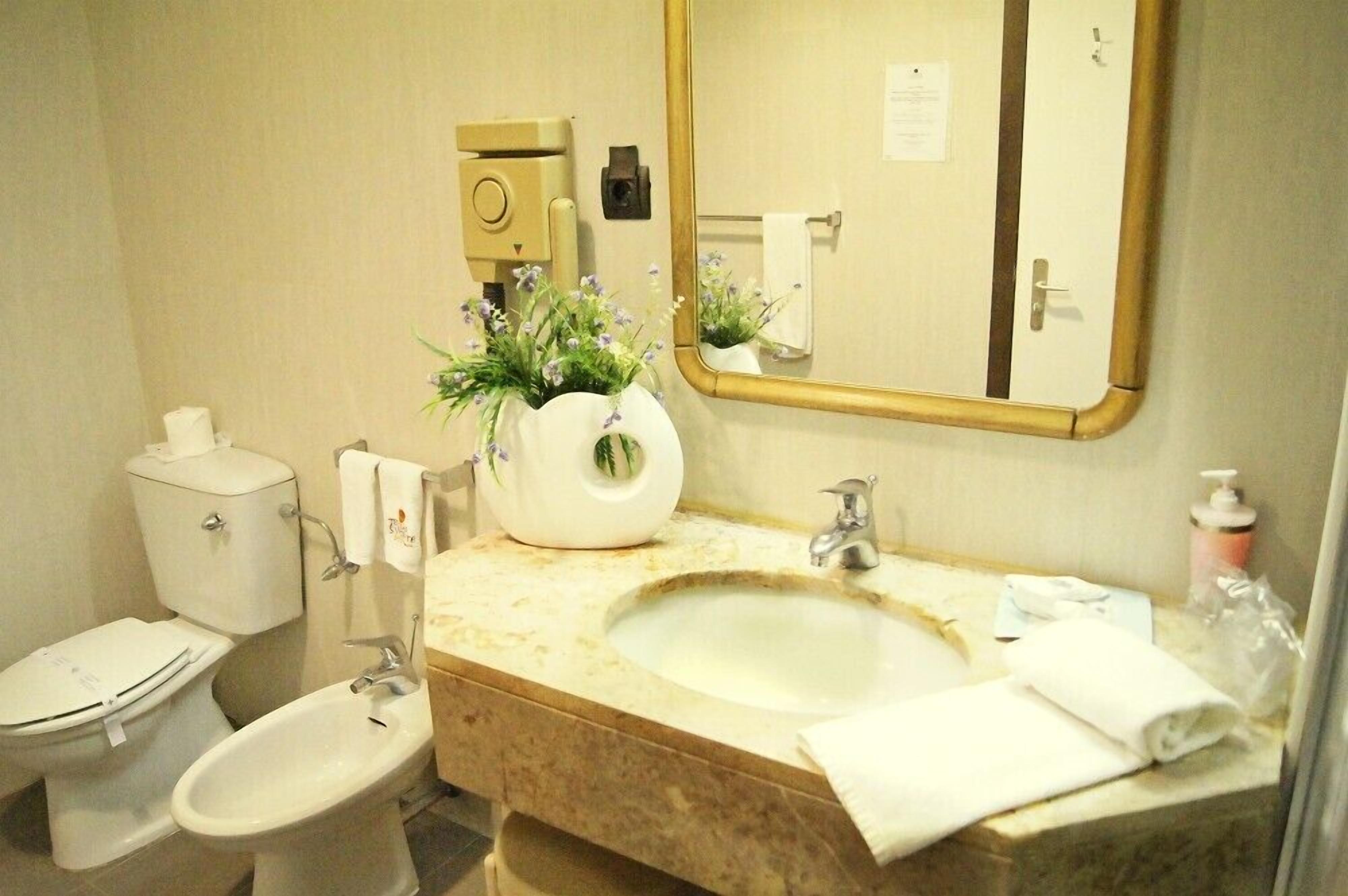 Foto - Palace Hotel & Spa - Termas de Sao Vicente