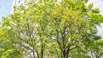 Jardín