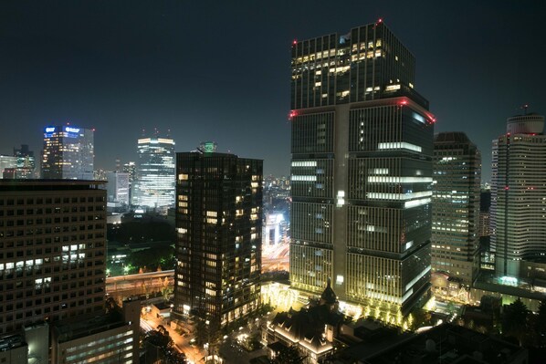View from room - Toshi Center Hotel Tokyo (Tokyo)