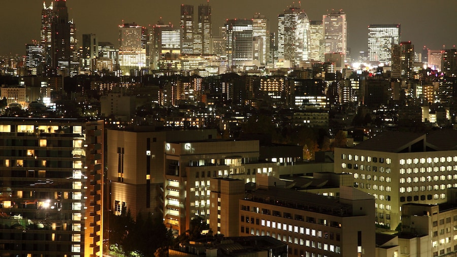 Toshi Center Hotel Tokyo