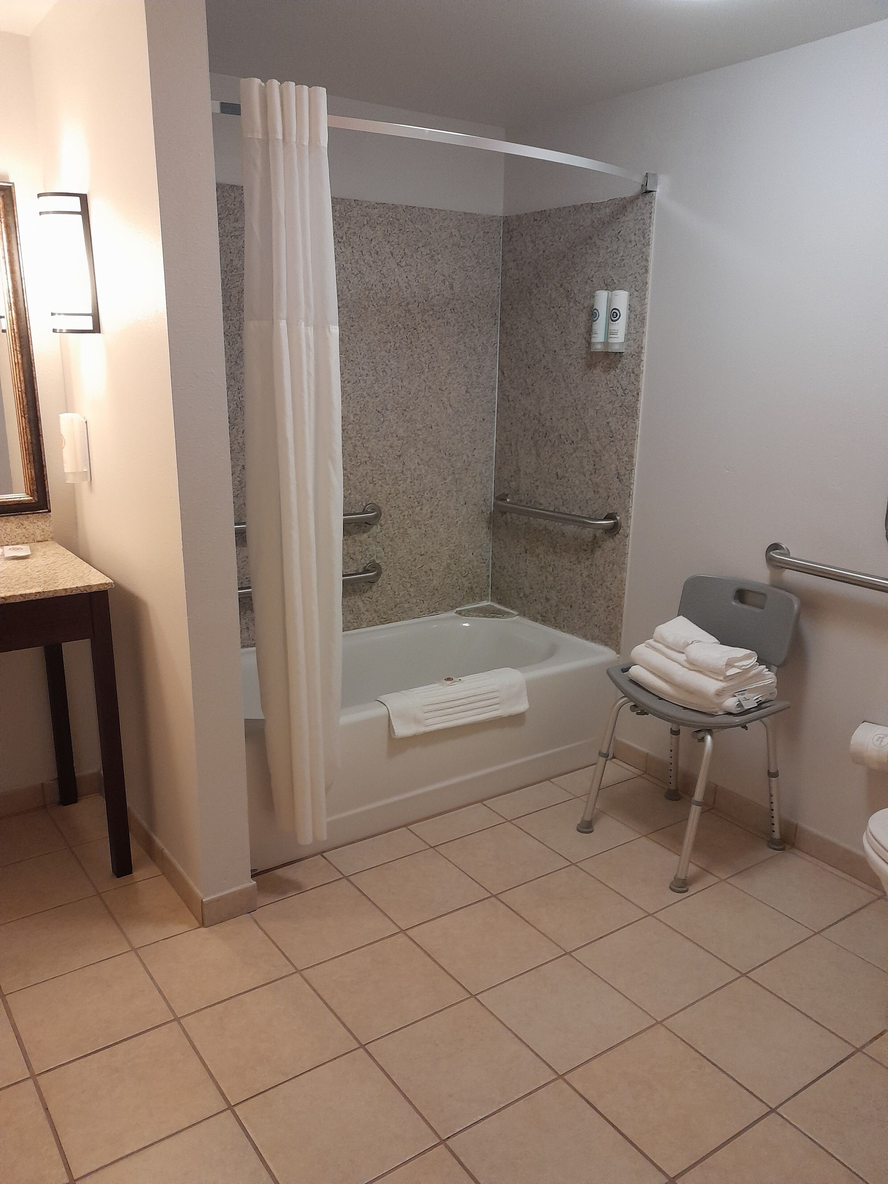 suite, 1 king bed with sofa bed, accessible, non smoking | bathroom | free toiletries, hair dryer, towels