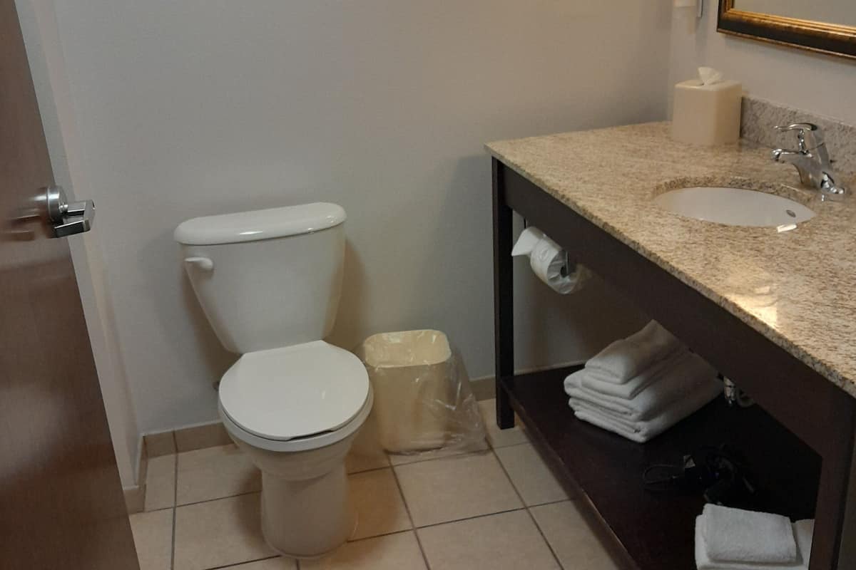 free toiletries, hair dryer, towels