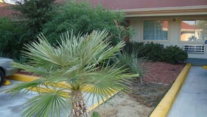 A building with a parking lot, a palm tree, and a vehicle. - Winnquest Inn Near Ft. Sam Houston (San Antonio)