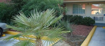 Winnquest Inn Near Ft. Sam Houston