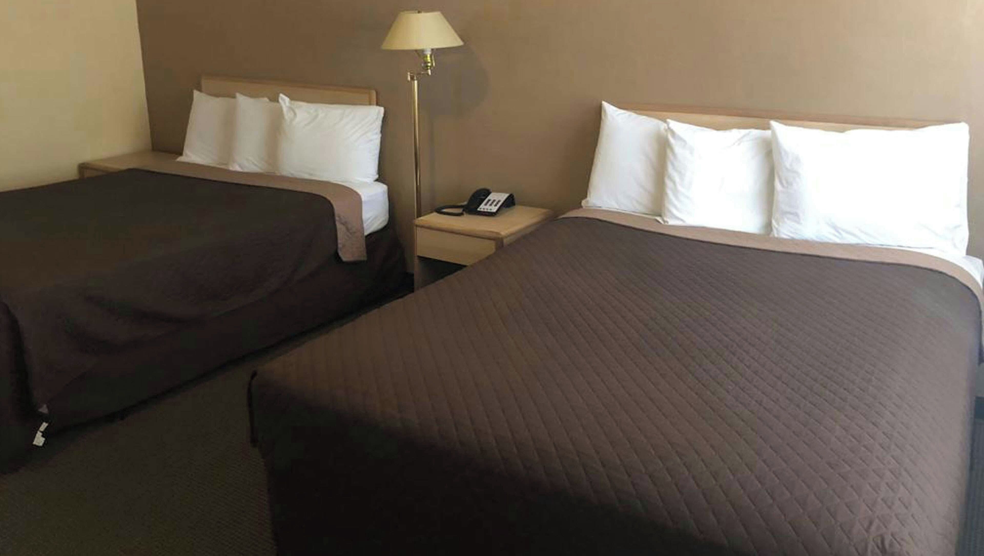 A hotel room with two beds, a bedside table with a lamp, and a phone.