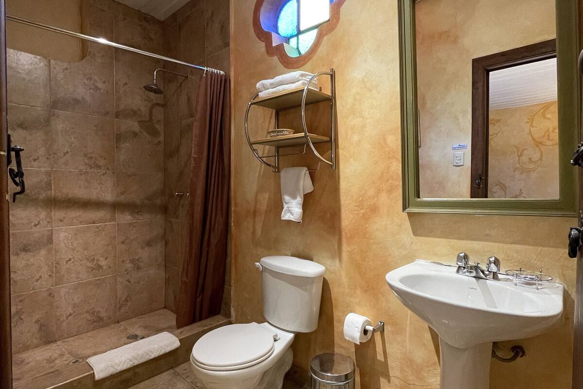 presidential room, 1 king bed, city view | bathroom | shower, free toiletries, bidet, towels