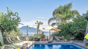A pool with a clear view of the mountains in the background, surrounded by cacti and potted plants. - Villa Ketty (Vico Equense)