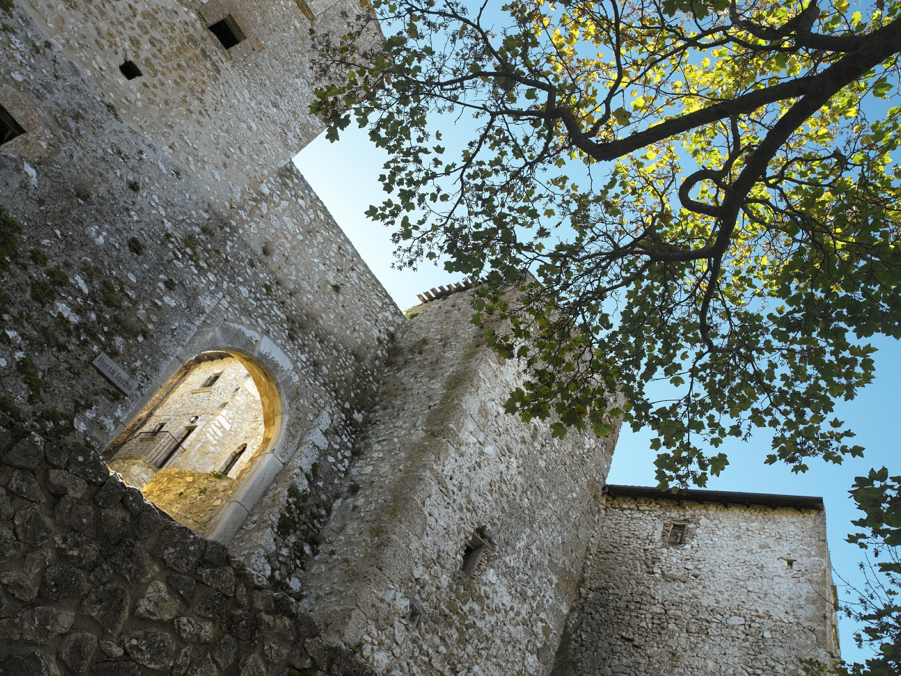 superior suite | view from room