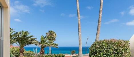 A paved pathway leading to a beach with palm trees and a clear blue sky.