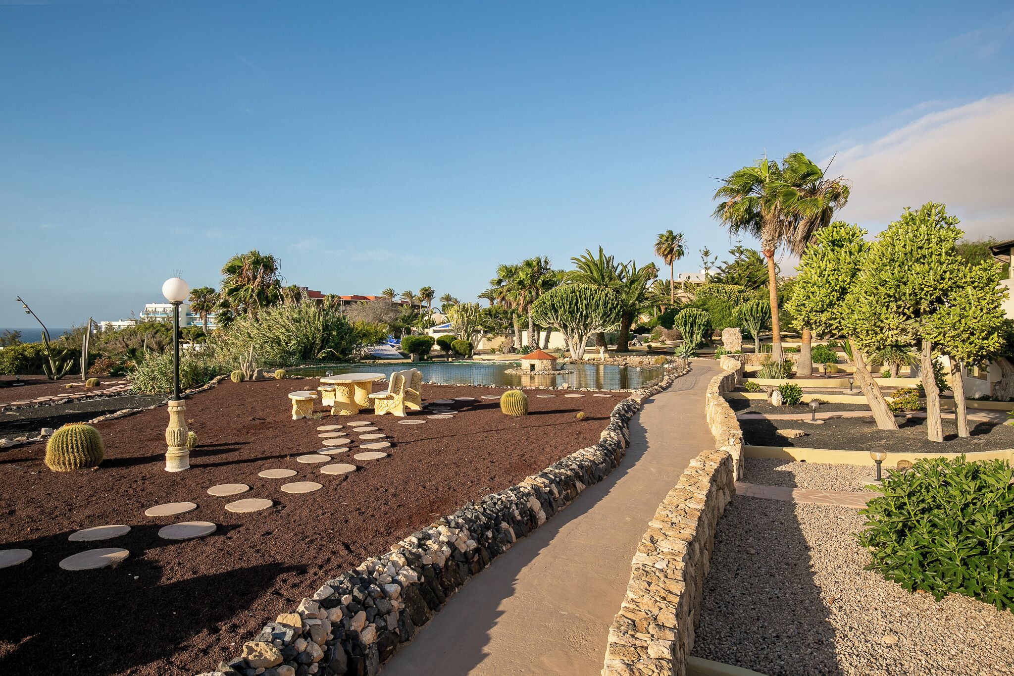 A landscaped garden with a pathway, palm trees, and a pool area.