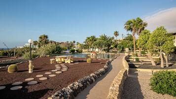 A landscaped garden with a pathway, palm trees, and a pool area.