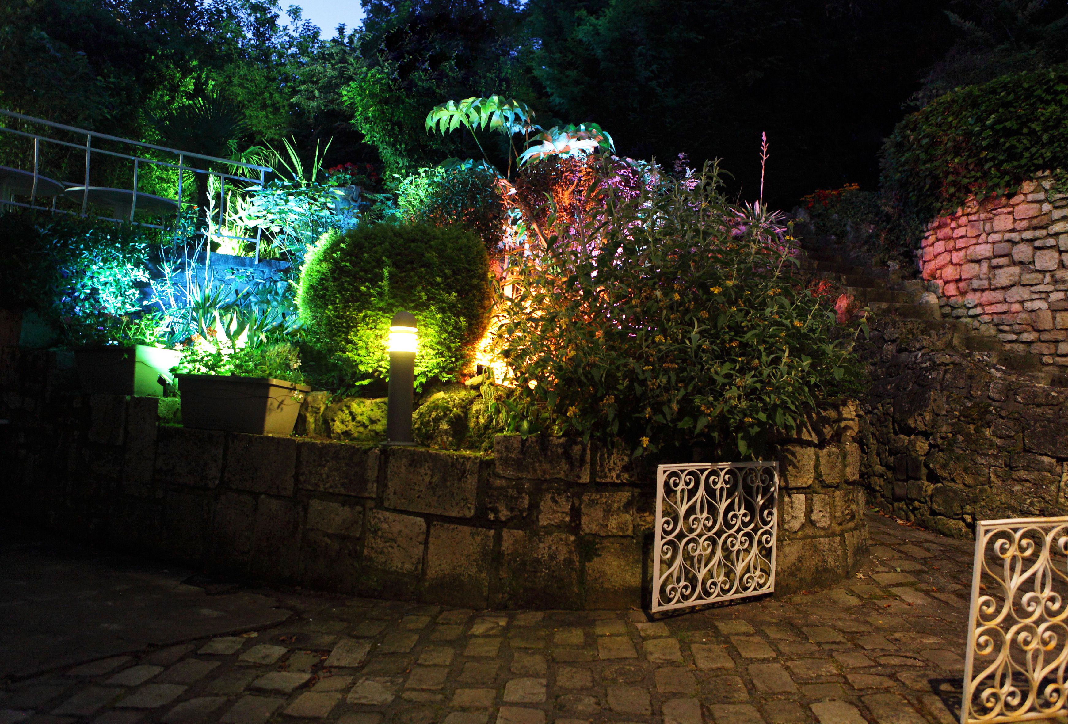 Un jardín nocturno con plantas iluminadas y un muro de piedra.