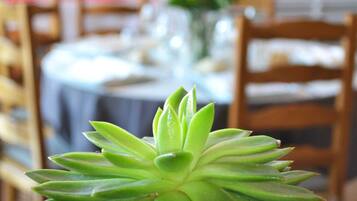 A potted succulent plant on a table with a dining area in the background.