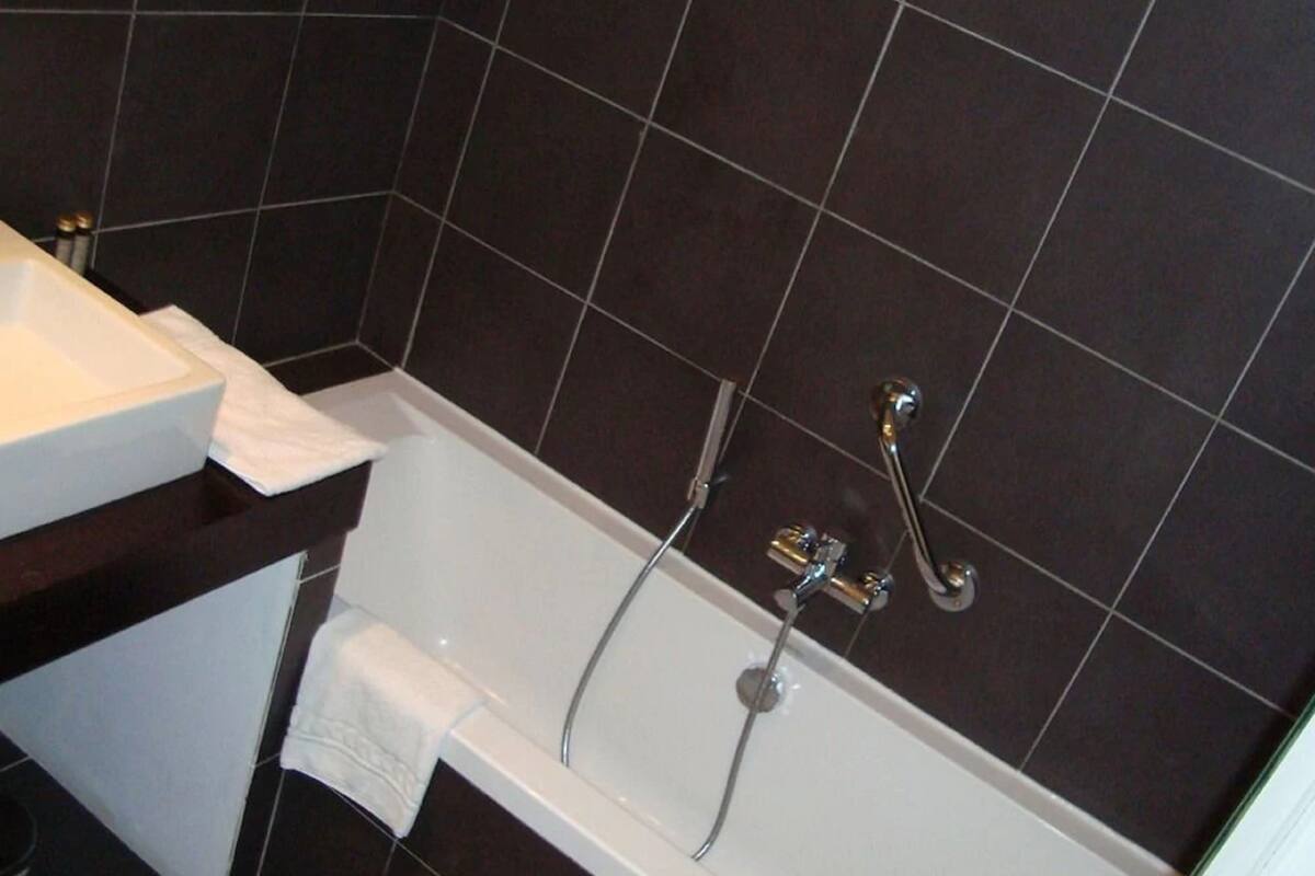 hair dryer, towels, soap, shampoo