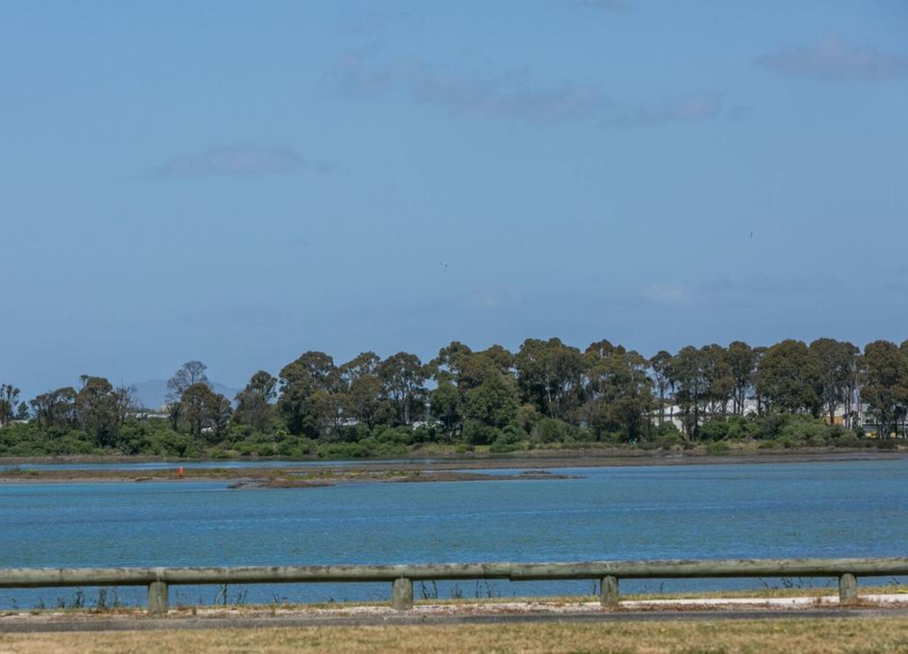 A coastal landscape with a clear sky, a body of water, and a line of trees.