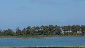 A coastal landscape with a clear sky, a body of water, and a line of trees.