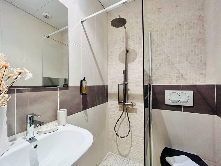 A modern bathroom with a glass shower enclosure, a white sink, and a mirror.