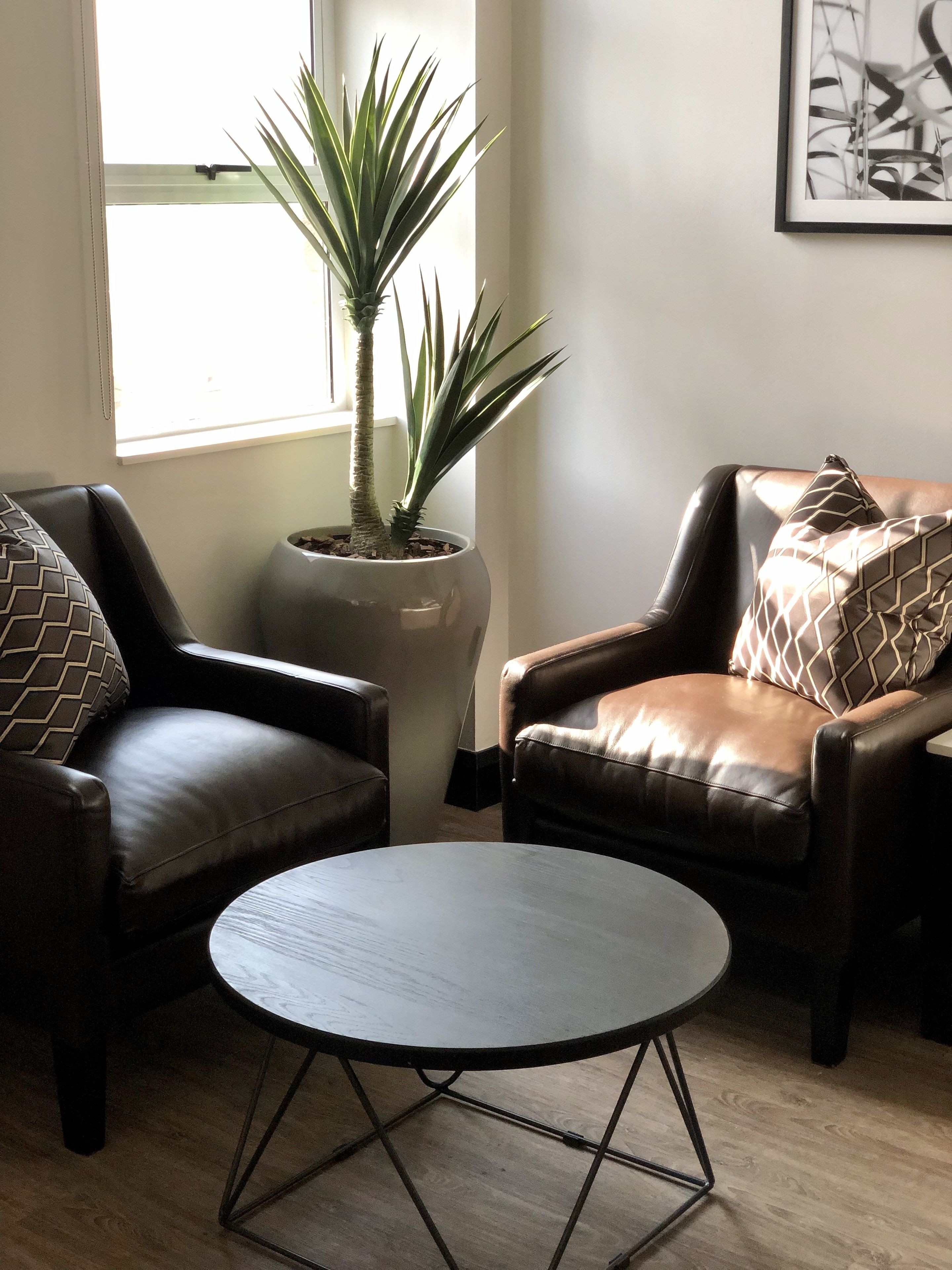 A living room with two leather armchairs, a round coffee table, and a potted plant.