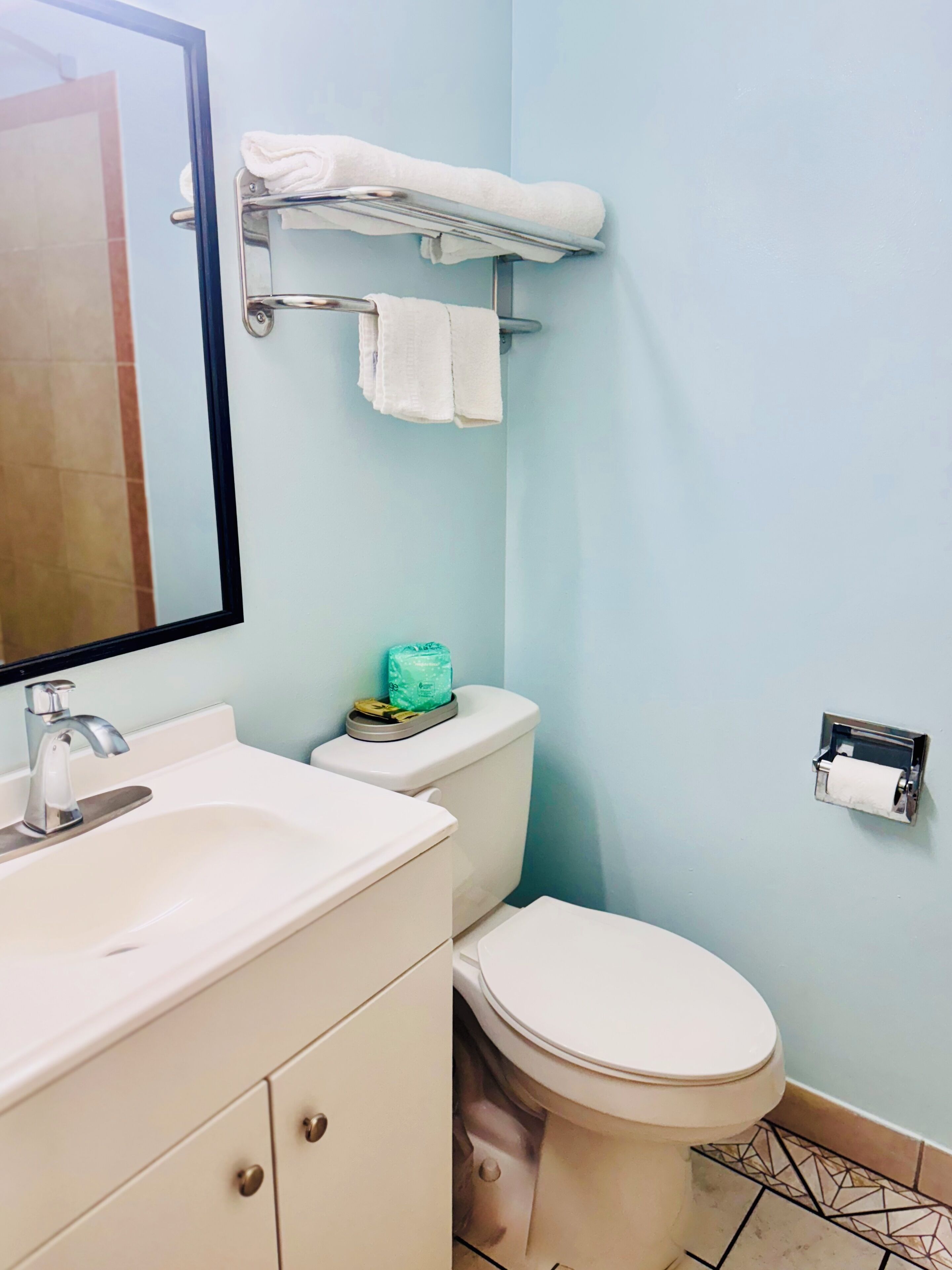 A bathroom with a white sink, a toilet, a towel rack, and a mirror.