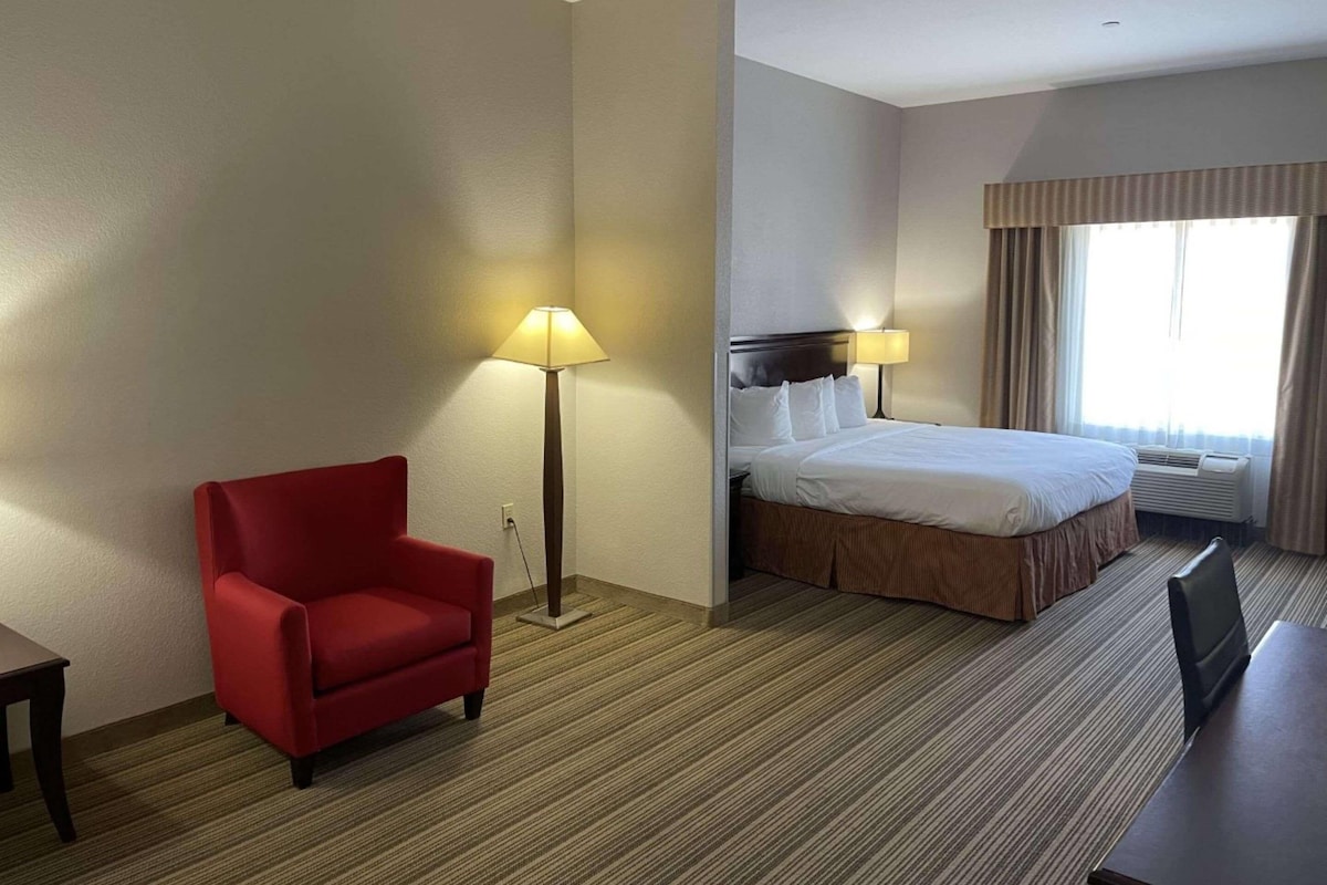 Suite estudio, 1 cama King size, para no fumadores | Ropa de cama de alta calidad y escritorio
