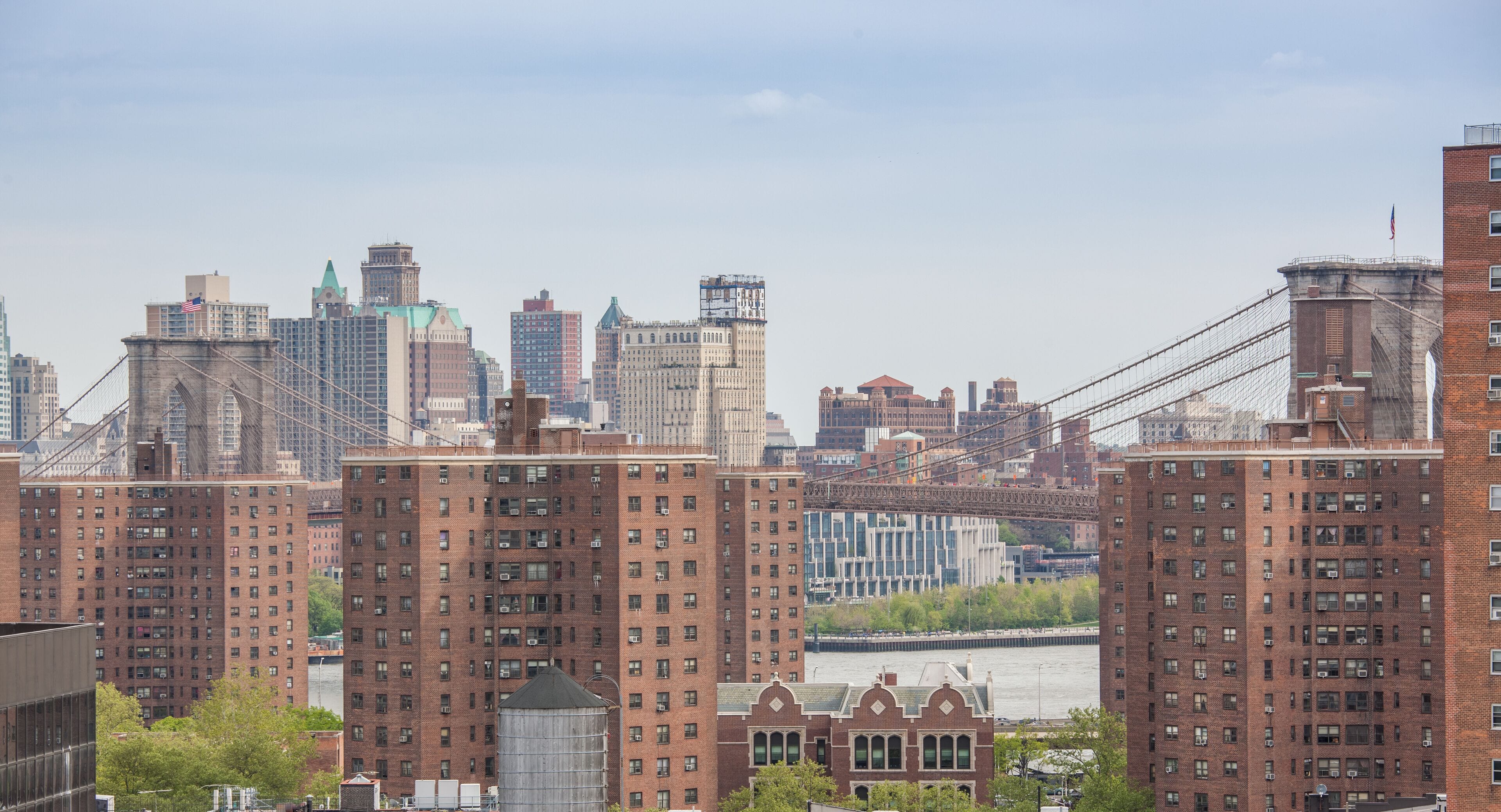 Foto - Hotel Mulberry