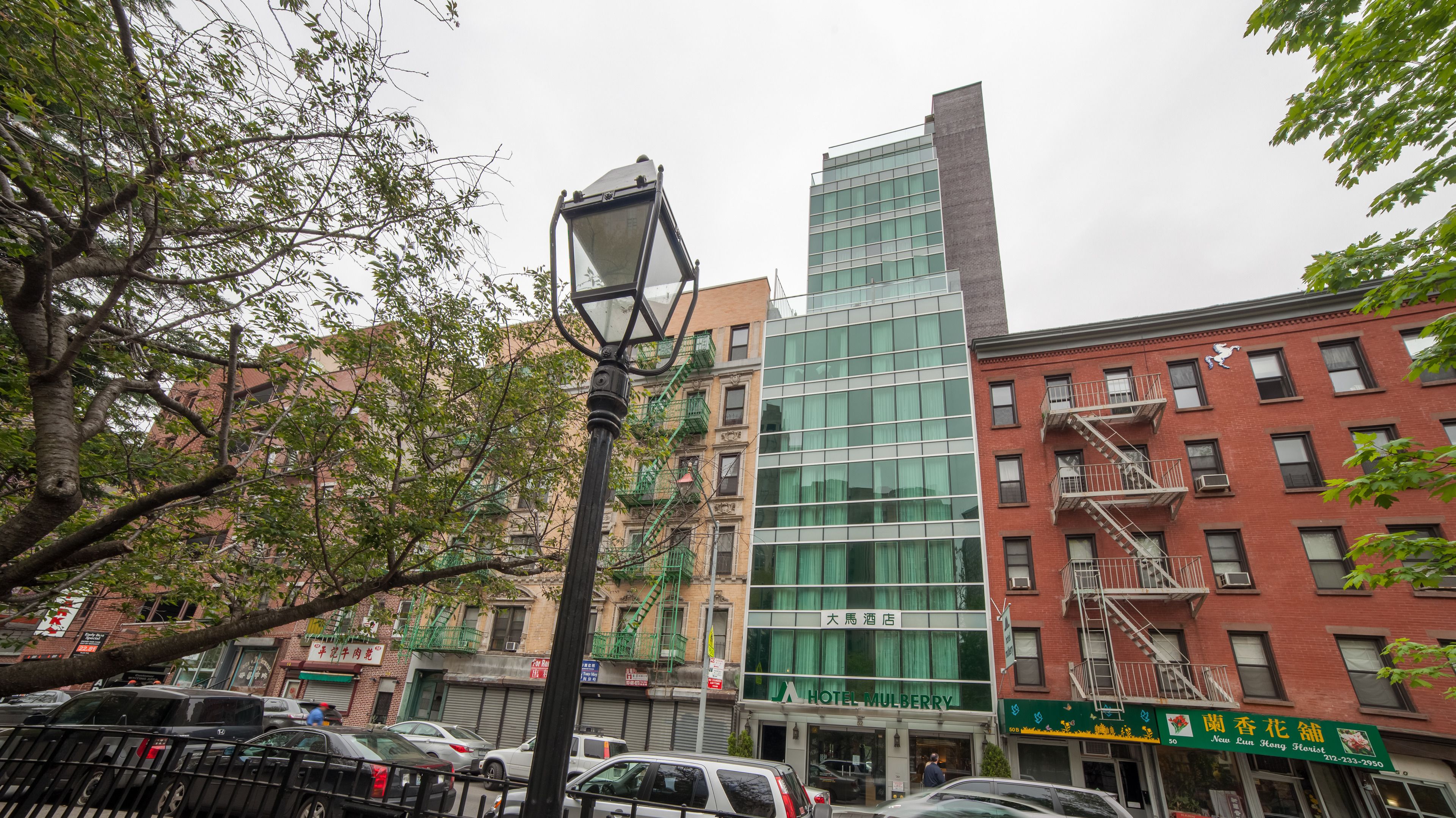 Foto - Hotel Mulberry