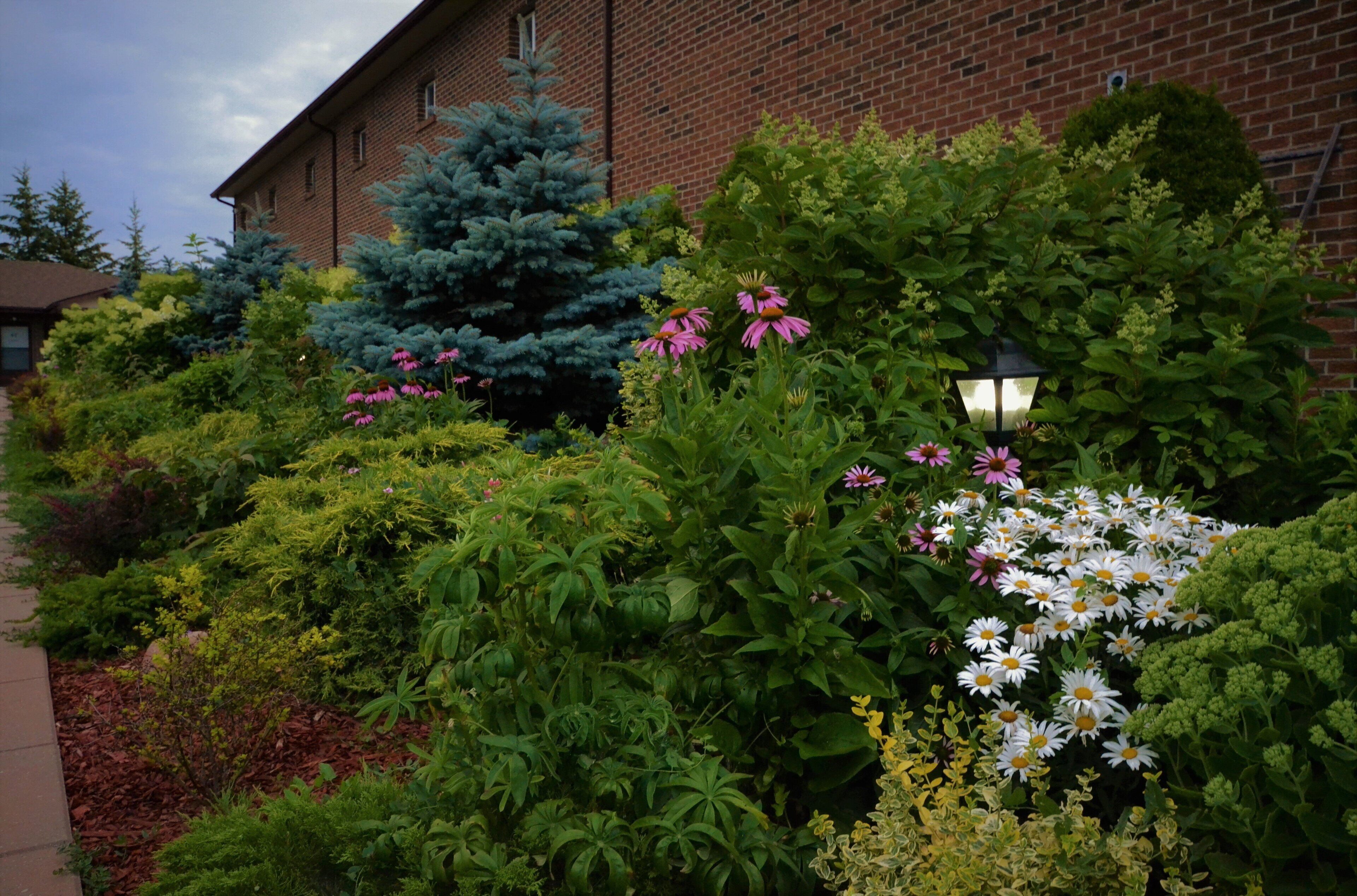 A landscaped garden with various plants and flowers in front of a brick building.