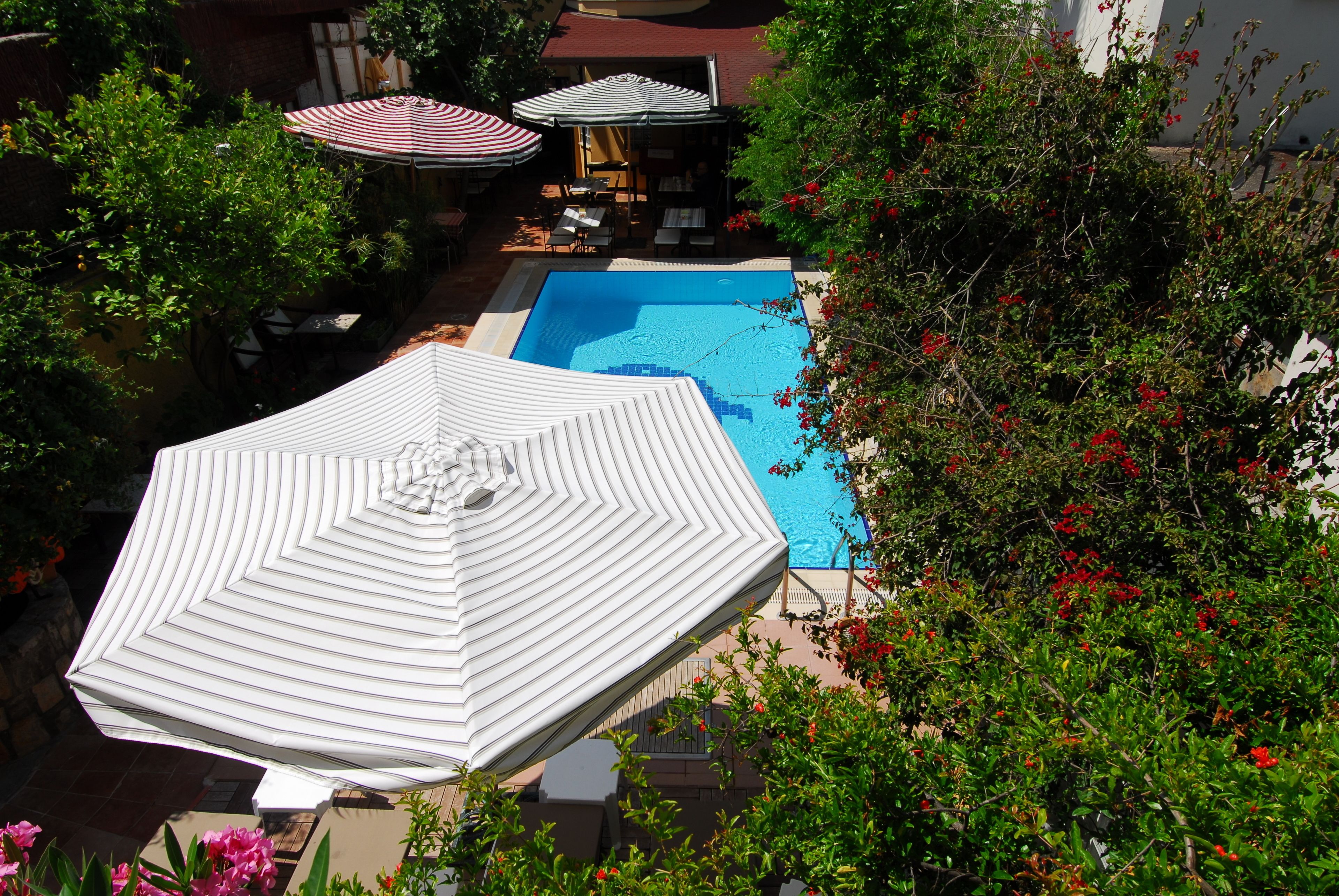 Una piscina en la azotea con sombrillas blancas y sillones reclinables, rodeada de vegetación exuberante y flores rojas.