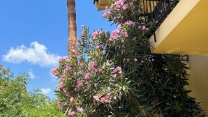 Una palmera alta y plantas florecientes de color rosa frente a un edificio amarillo con barandilla negra.