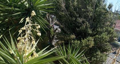 La Roche Guest House