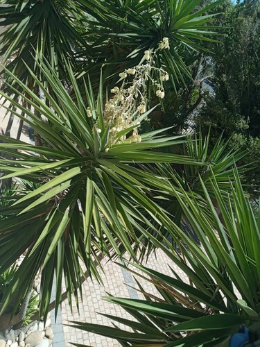 La Roche Guest House