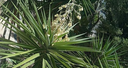 La Roche Guest House