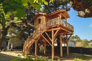 小屋 (Tree House (5m high)) | 客房内保险箱、办公桌、免费 WiFi、床单