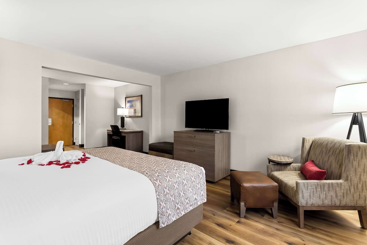 A hotel room with a bed, a television, a chair, a desk, and a lamp.