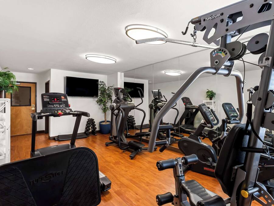 A modern gym with various exercise equipment, including treadmills, elliptical machines, and weight machines.