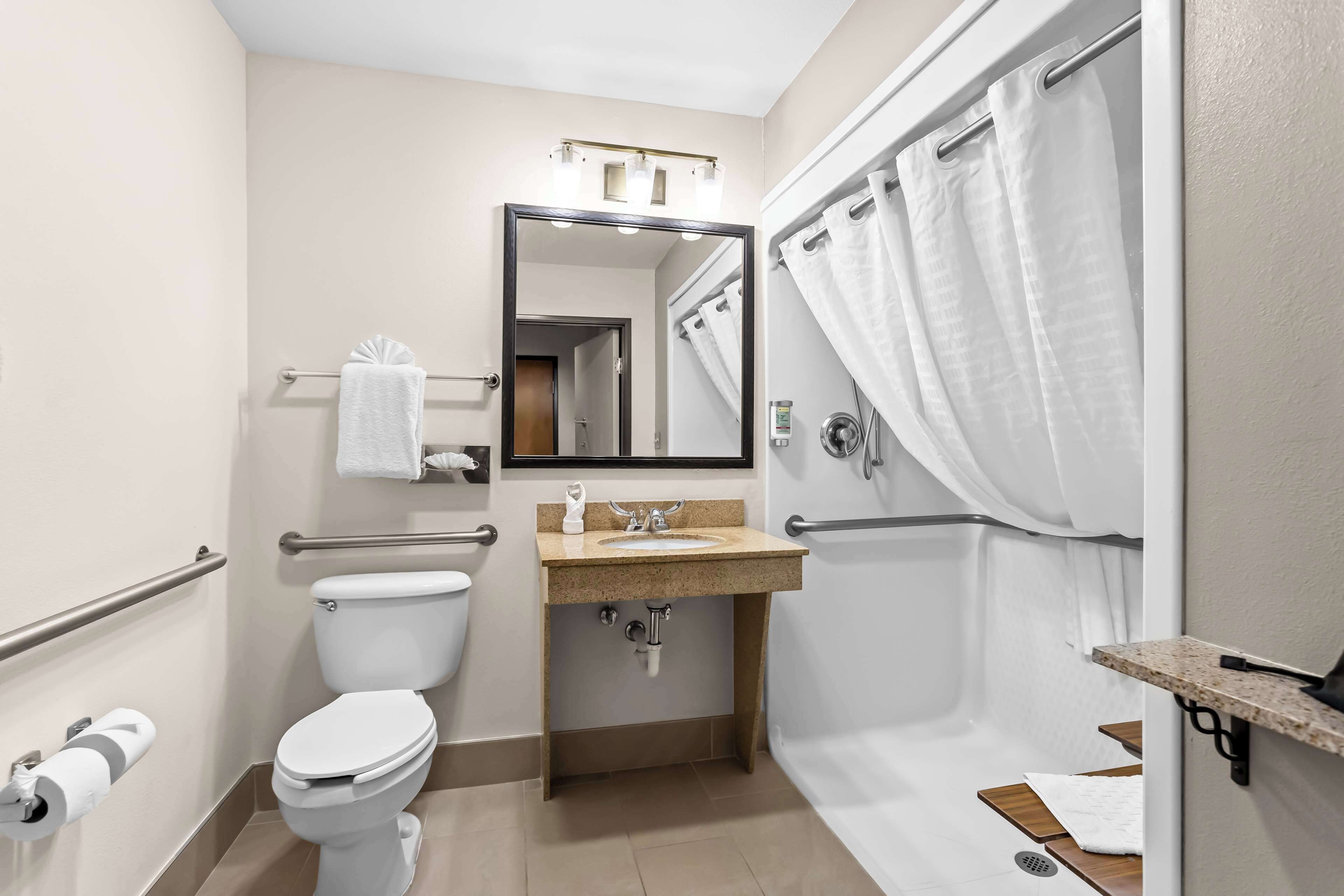 suite, 1 king bed, accessible, non smoking (with sofabed) | bathroom | hair dryer, towels