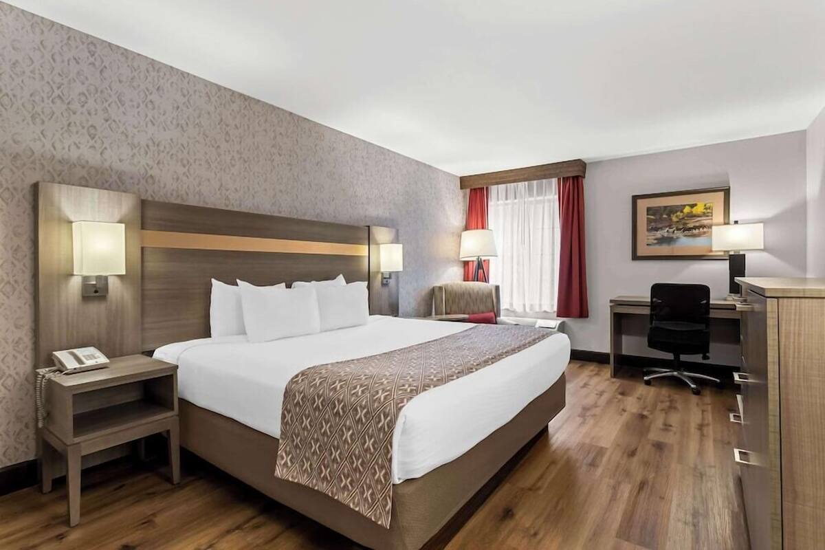 Escritorio, tabla de planchar con plancha, wifi y ropa de cama