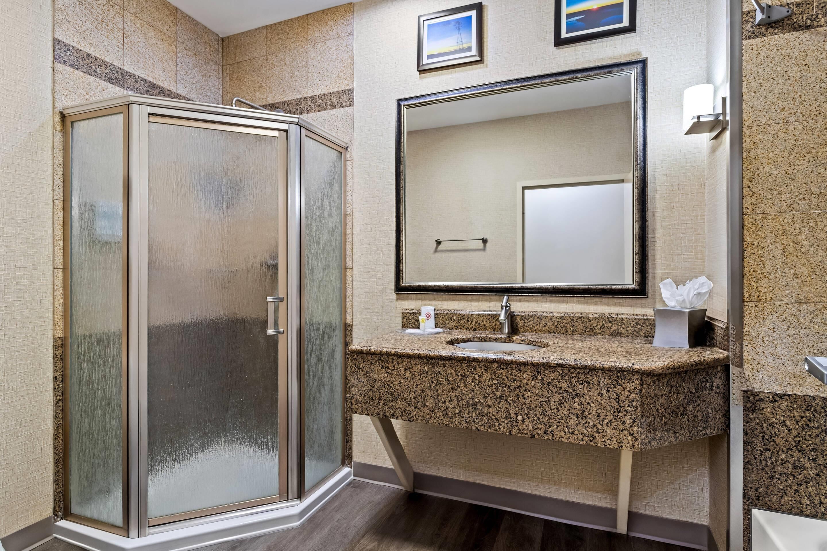 Foto - Comfort Suites Roswell North