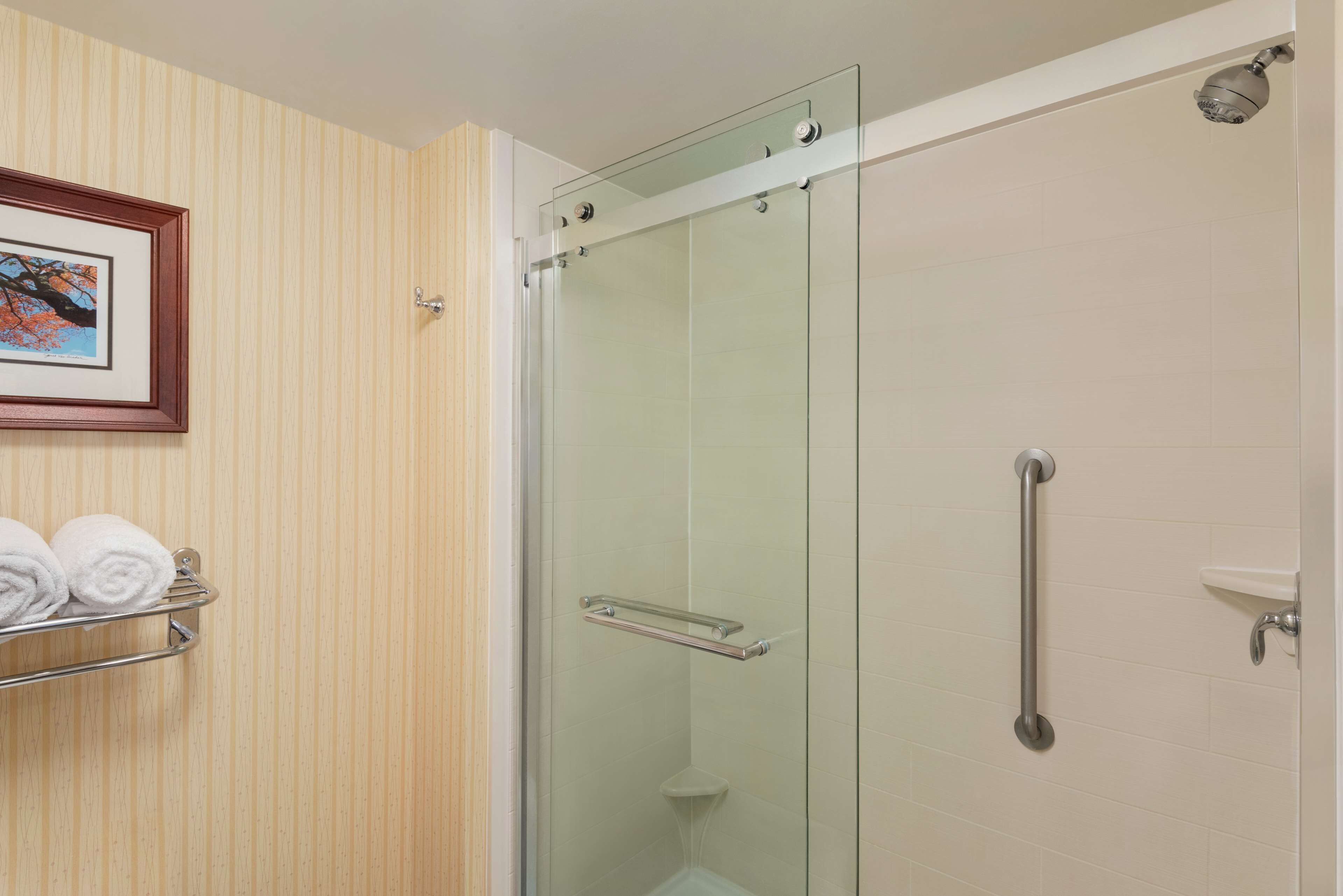 A glass-enclosed shower with a handrail, a towel rack with folded towels, and a framed picture on the wall.