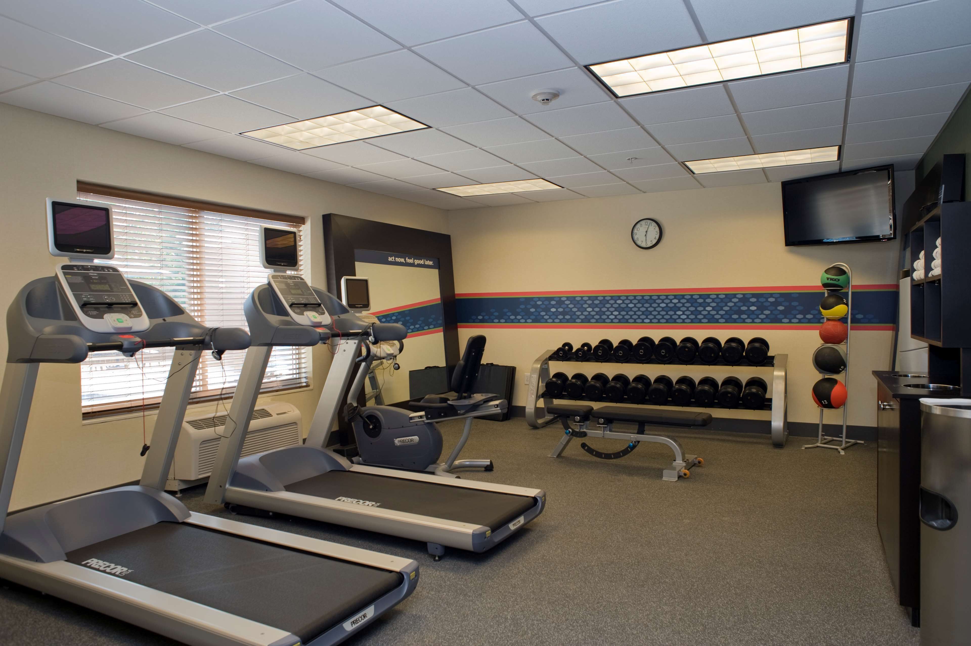 A gym with treadmills, a weight bench, and a rack of dumbbells.
