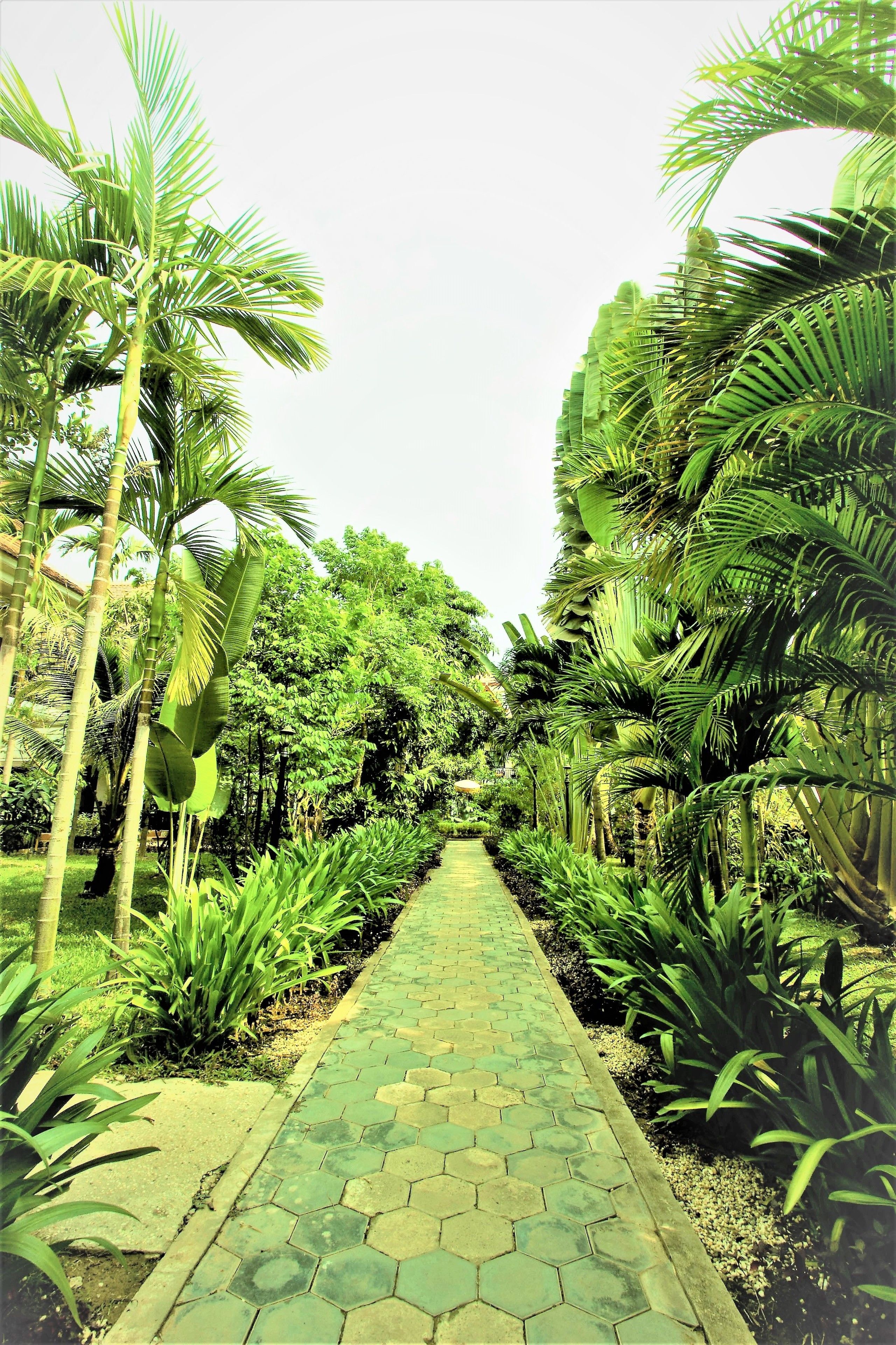 Vista del jardí